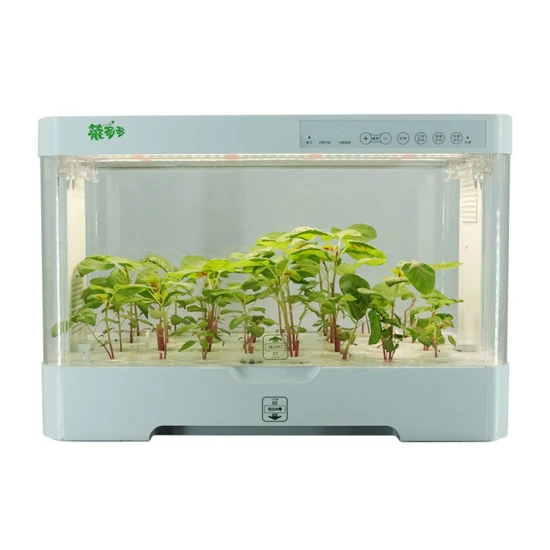 Home Hydrokultur-Anbausysteme Click and Grow Indoor Garden Smart Gemüse Intelligenter Pflanzer